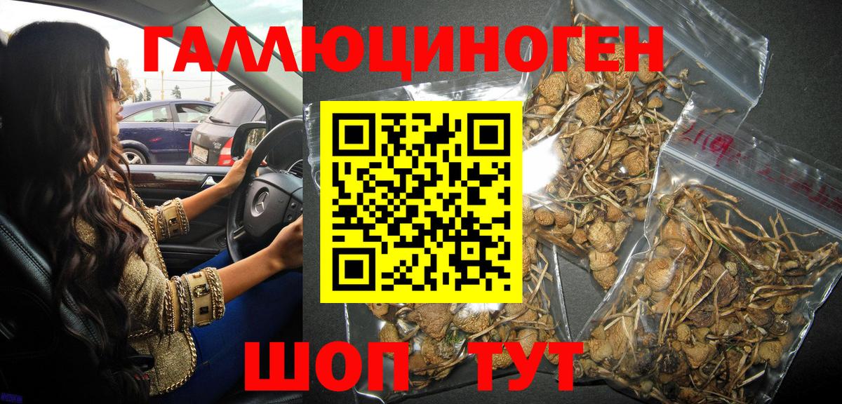Псилоцибиновые грибы ЛСД Волгоград